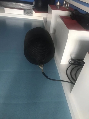 D1M*EL12M W type Fender en caoutchouc pour la protection des quais 6-8 ans de durée de vie