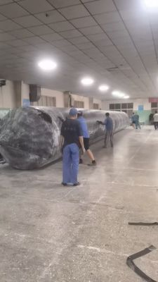 Airbag de lancement de navire durable 1m 30m Longueur pour les opérations de lancement de navires de mer